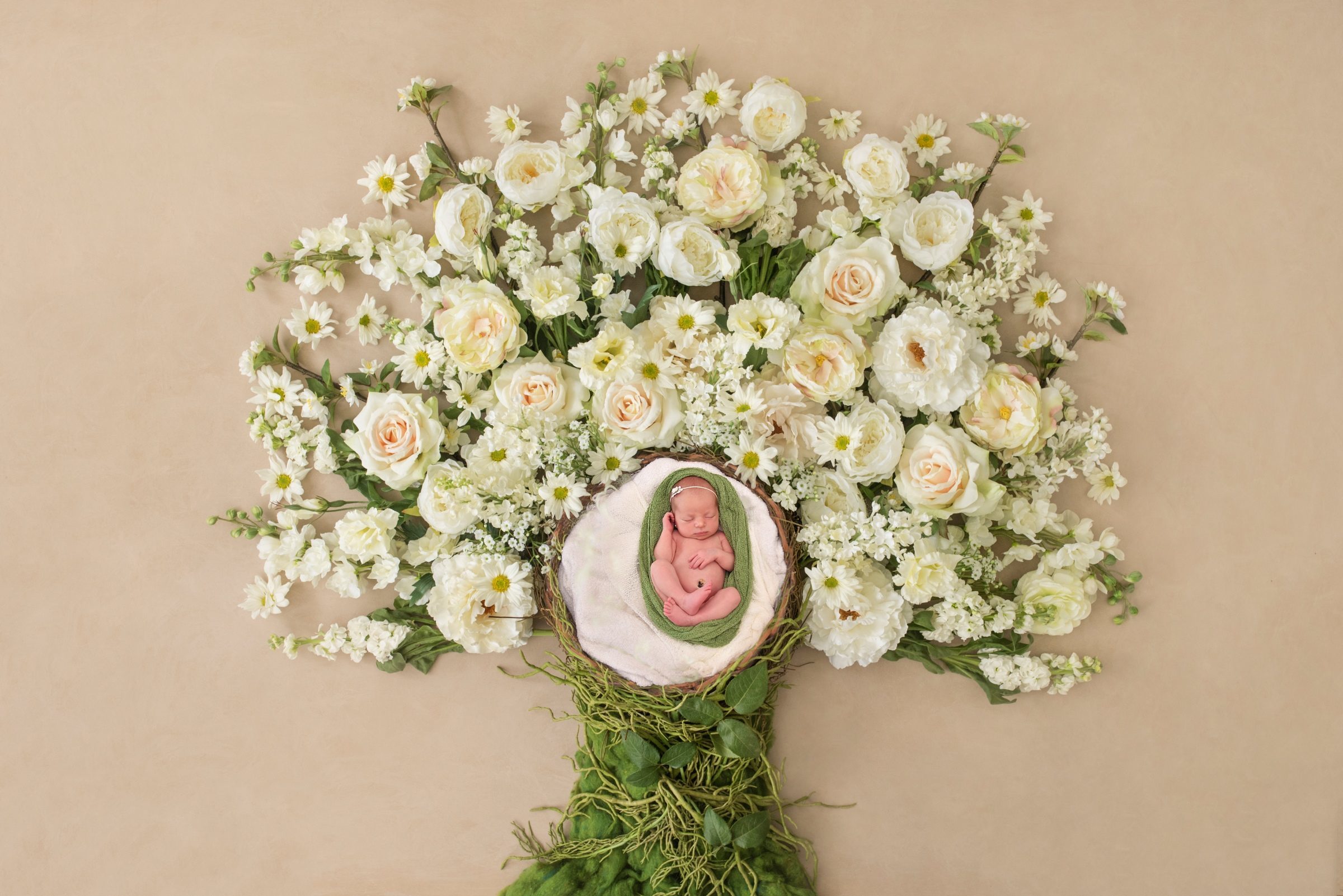 Foto de Carol Bassuma 0